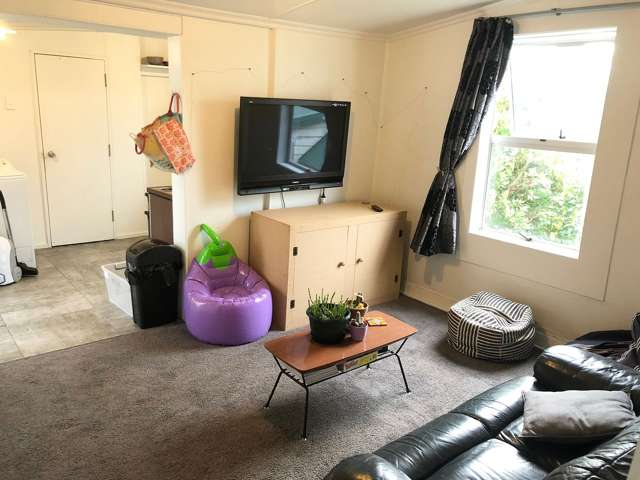 138 Forth Street North Dunedin_2