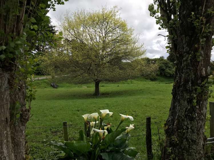 86 Ballance Road Pahiatua_7