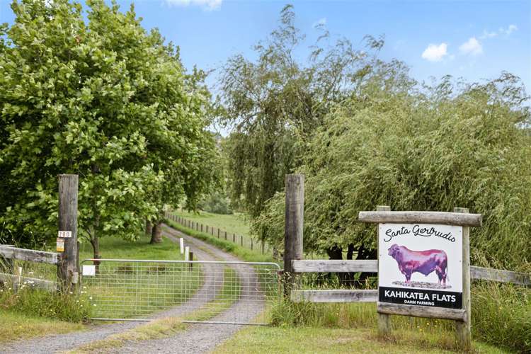 200 Highway 22 Pukekawa_3