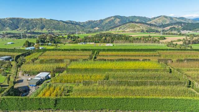 96 Engles Road Shannon_4