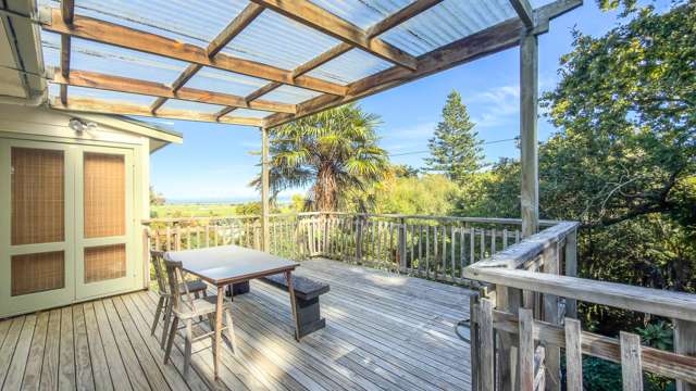 111B Grafton Road Thames_2