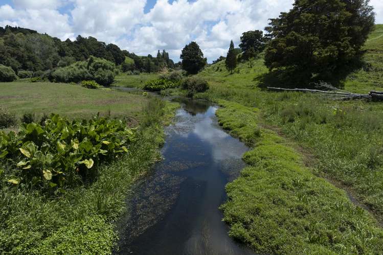791 Fairburn Road Kaitaia Surrounds_10