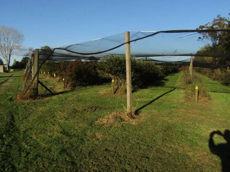 549a Seddon Road Gordonton_30