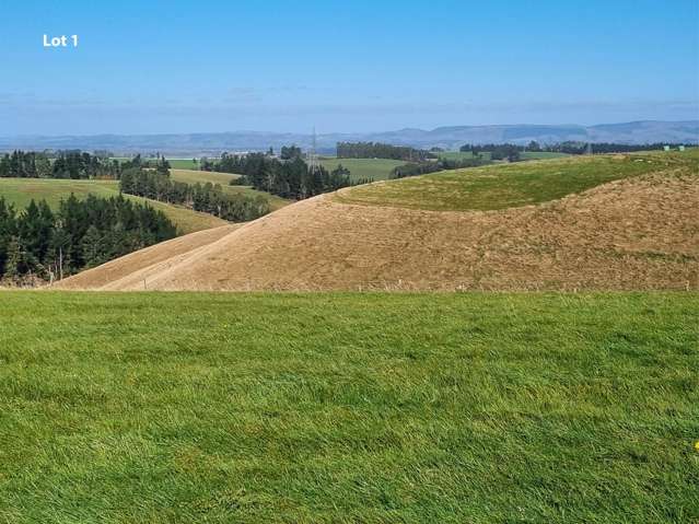 Cameron Road, Hillend Balclutha_4