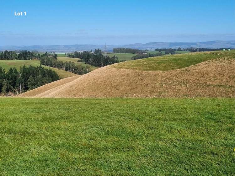 Cameron Road, Hillend_4