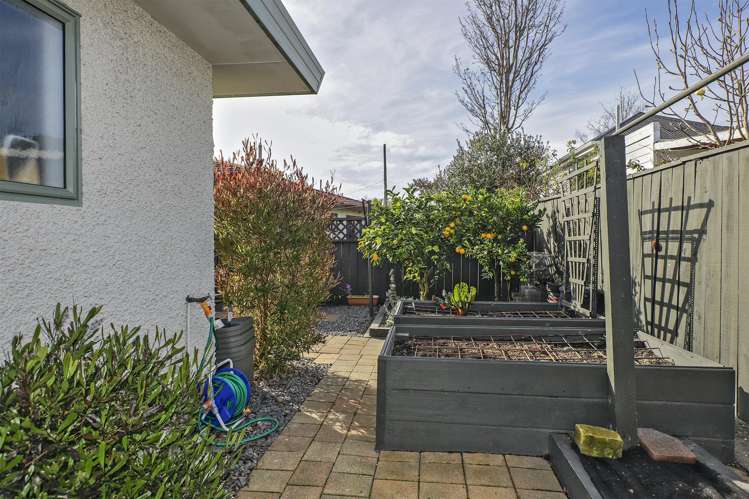 612a Fitzroy Avenue Mahora_14