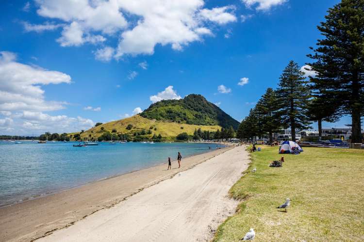 40J Maunganui Road Mt Maunganui_16