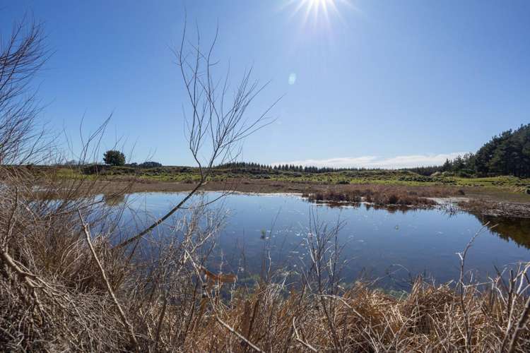 725 Raumai Road Bulls_22