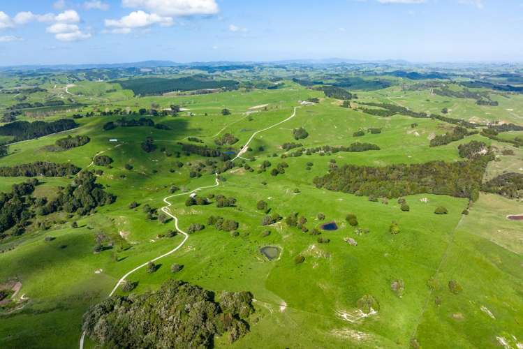 52 Gillon Road Matakohe_5