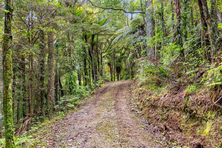 59 Ashton Road & Birdsall Road, Whangateau Leigh_50