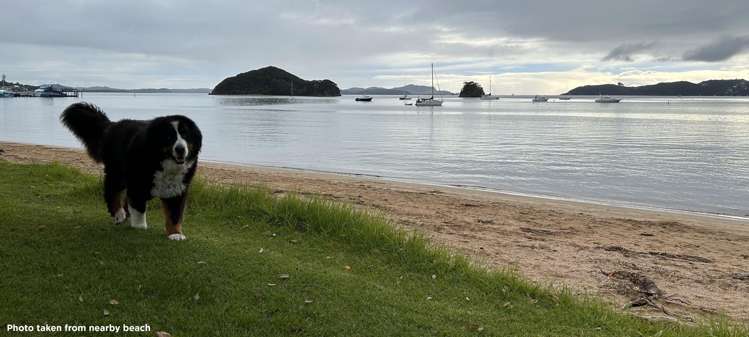 59 Kings Road Paihia_18