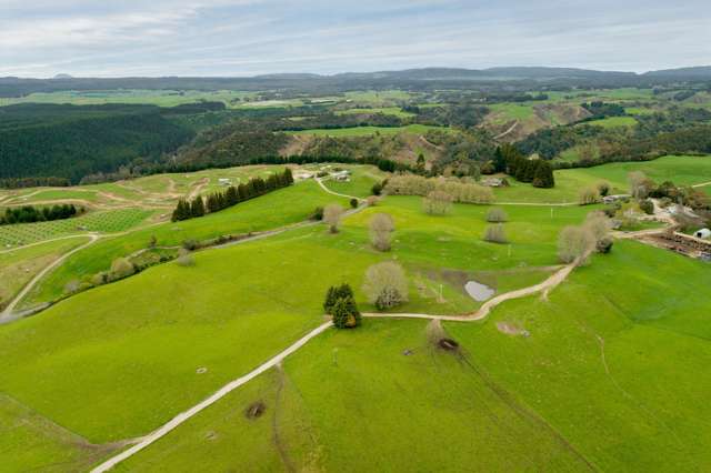 936 Pongakawa Bush Road Pongakawa_4