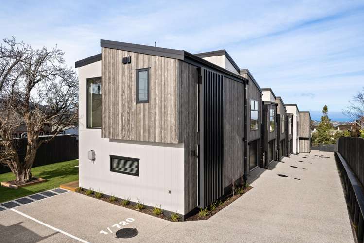 720 Highgate Maori Hill_21