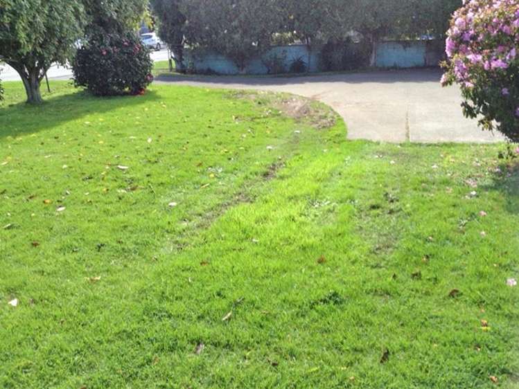 164 Mount Wellington Highway Mount Wellington_11