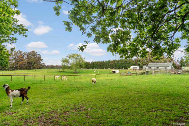 558c Waiau Pa Road Waiau Pa_23