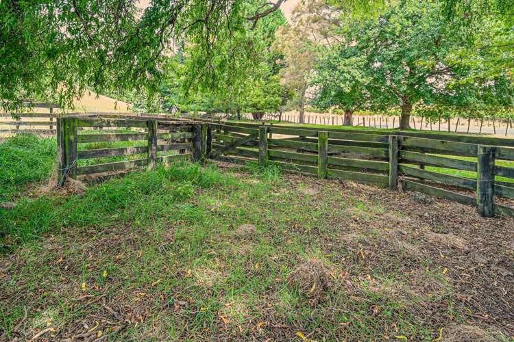 564 Swamp Road Puketapu_14