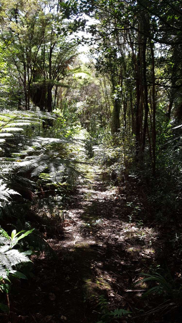 448 Moir Hill Road Warkworth_26