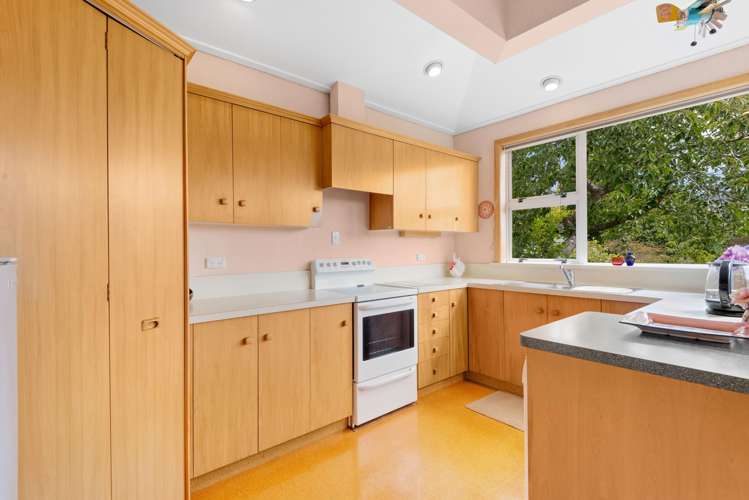 17 Brownville Crescent Maori Hill_3