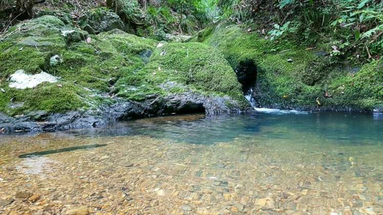 3211 Russell Road Whangaruru_16