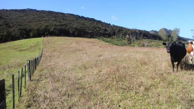 Kerr Road Parua Bay_2