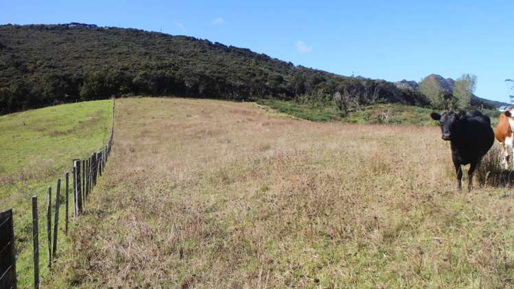 Kerr Road Parua Bay_2