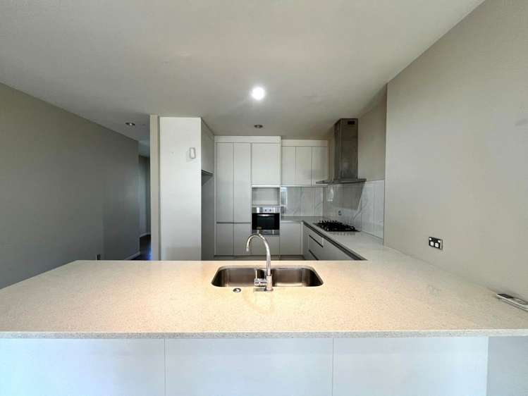 22 Helianthus Avenue Flat Bush_5