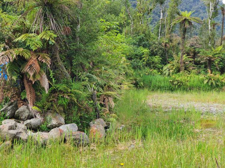 5 Middleton Place Franz Josef Glacier_21