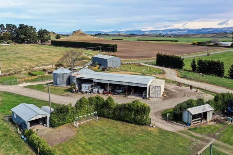 26 Springfield Road Totara_27