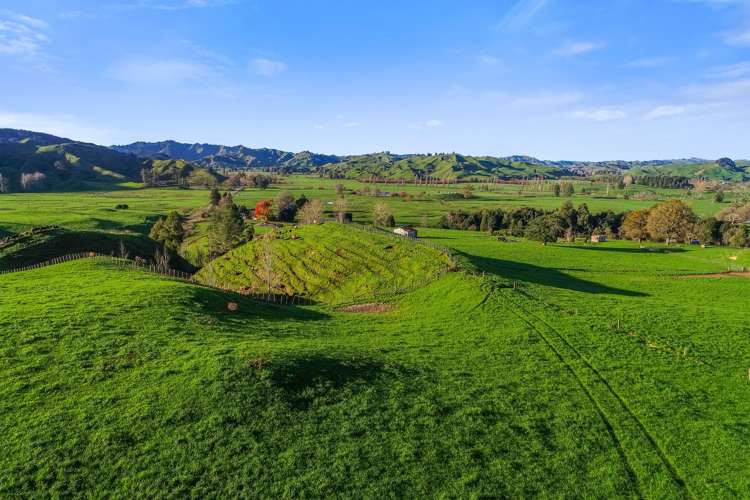 17 Waikaka Road Ohura_8