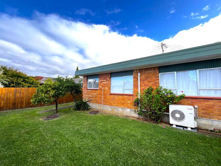 37a Galvan Avenue Sunnyhills_14