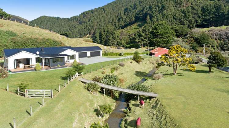 541 South Makara Road Makara_33