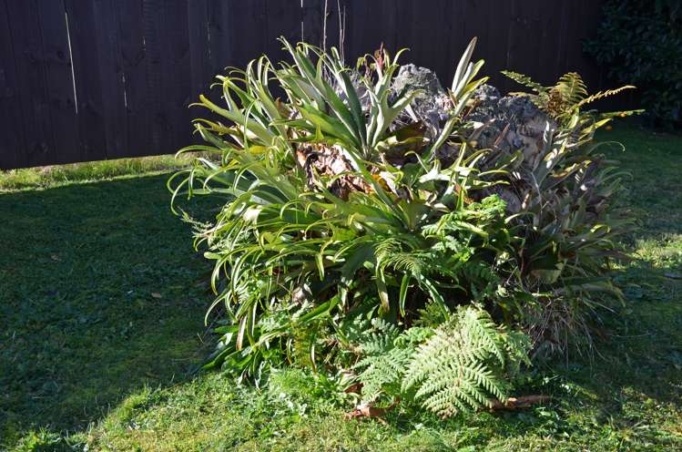 27 Hinemotu Avenue Kawerau_13