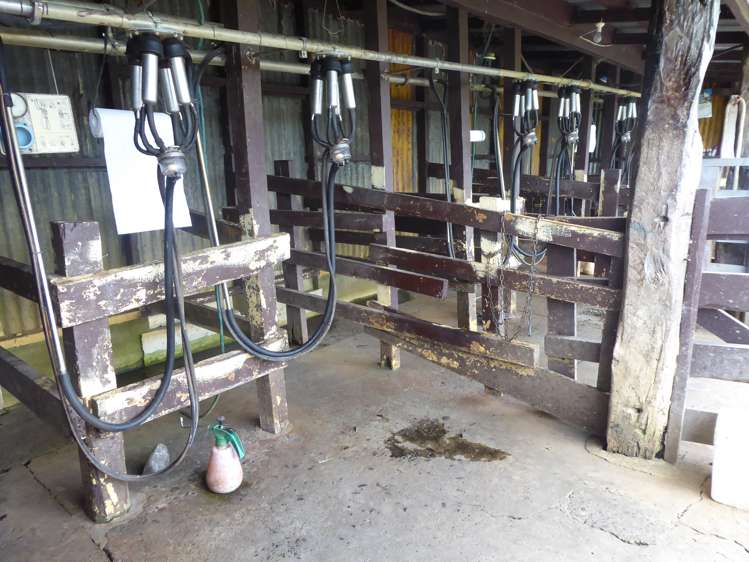 237 Kellow Road Rongotea_16