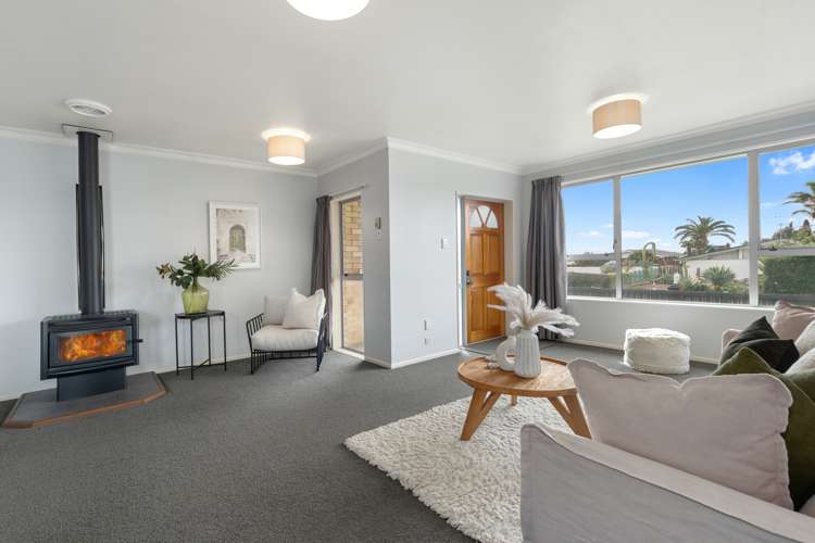 14 Vine Avenue Maungatapu_2