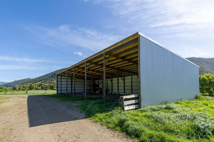 537 Ronga Road Rai Valley_32