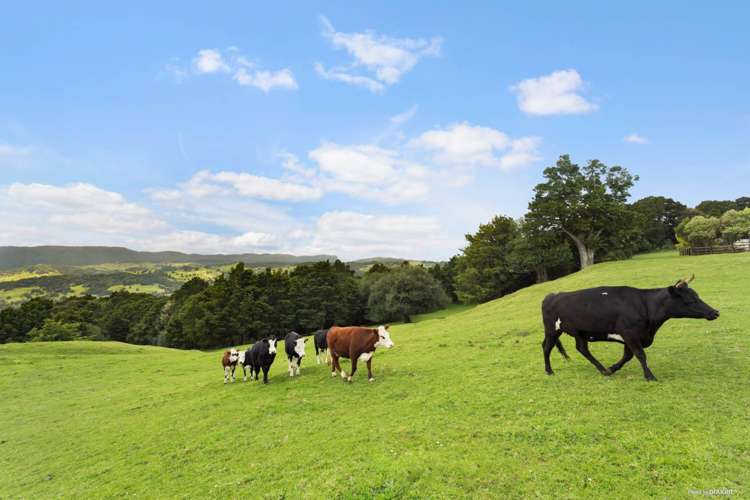 1a Waiare Road Okaihau_26