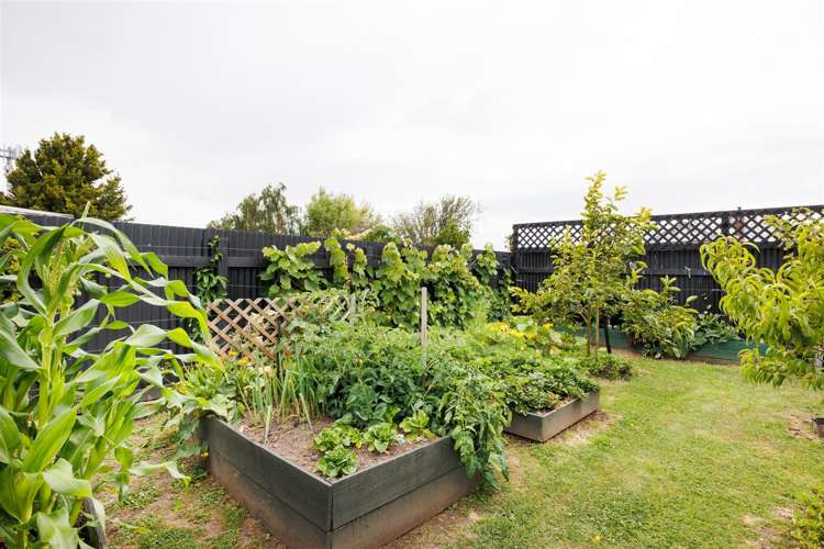 7A Terrace Street Marton_10