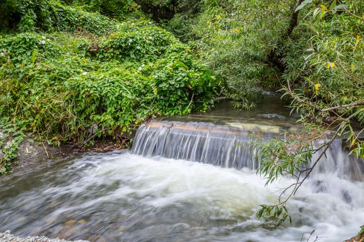 80 Johnston Street Featherston_7