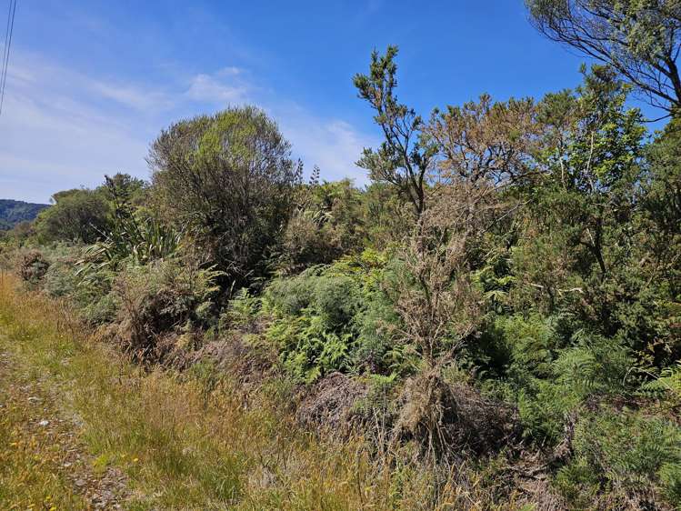 Arnold Valley Road, Stillwater Greymouth_13