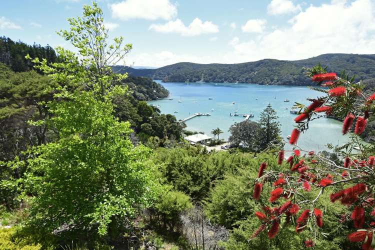 9 Lavinia Place Kawau Island_9