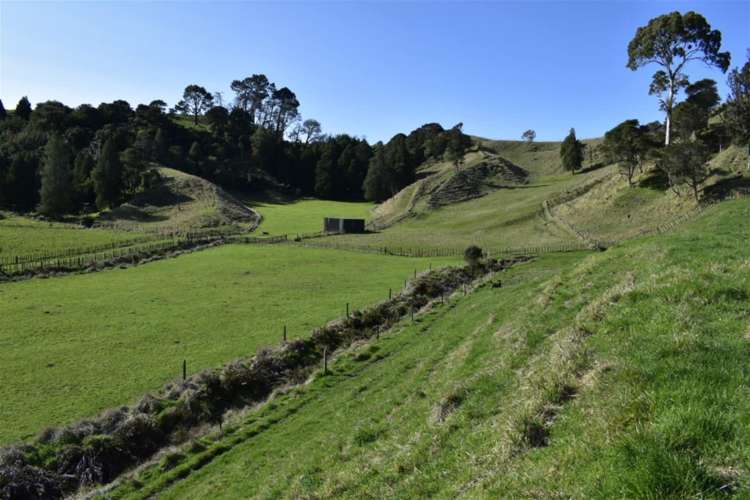 Lot 5/80 Ruatuna Road Waiotahi_4