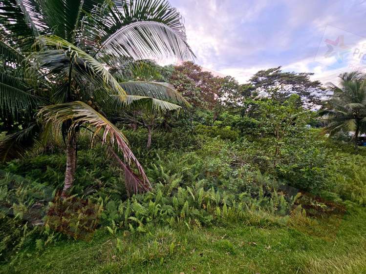 Address withheld Savusavu_7