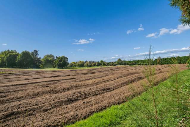 Premium Lifestyle | Prime Bare Kiwifruit Land