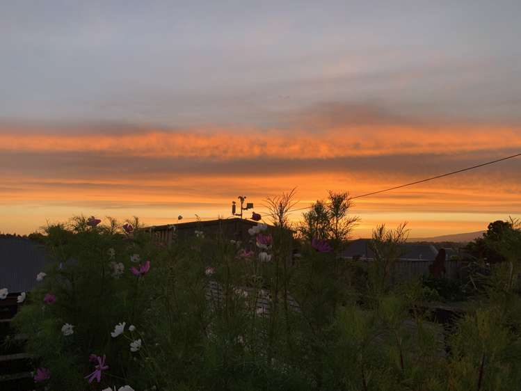 107 George Melrose Drive Te Awamutu_29