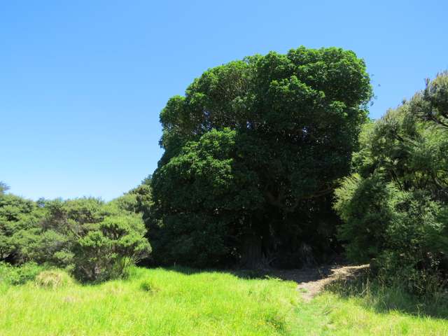 4 Boulder Bay Drive Coromandel_2