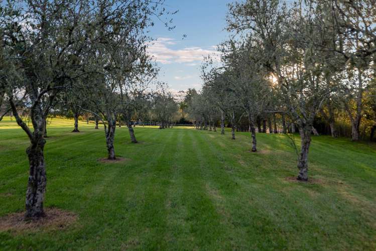 253 Horseshoe Bush Road Dairy Flat_33