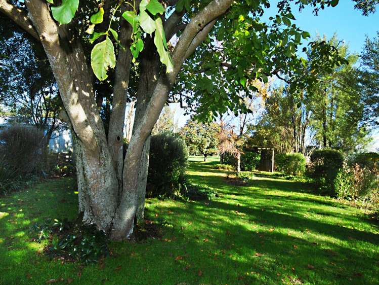 235 Belvedere Road Carterton_14