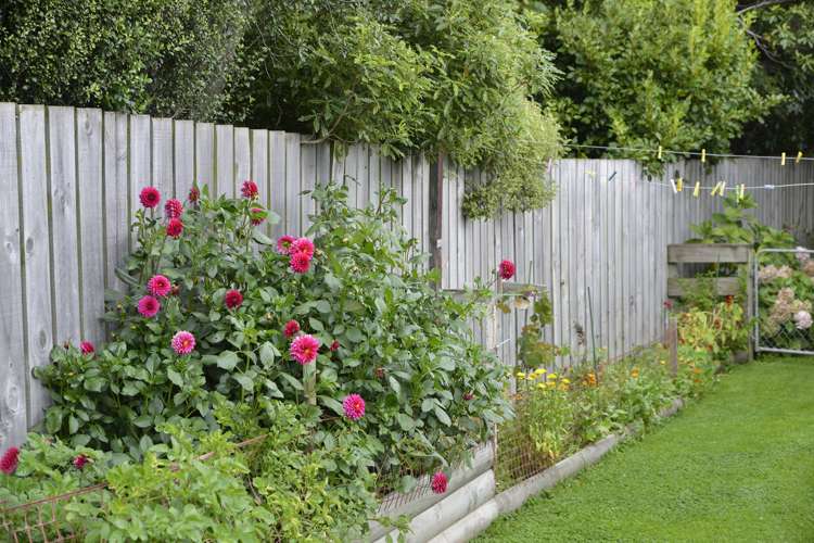 45 Cockburn Street Masterton_19