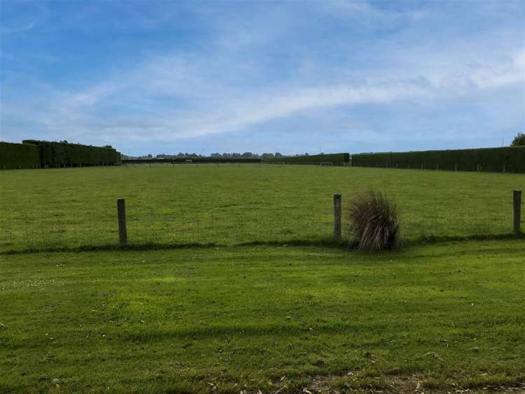 204 Roslyn Road Roslyn Bush_1