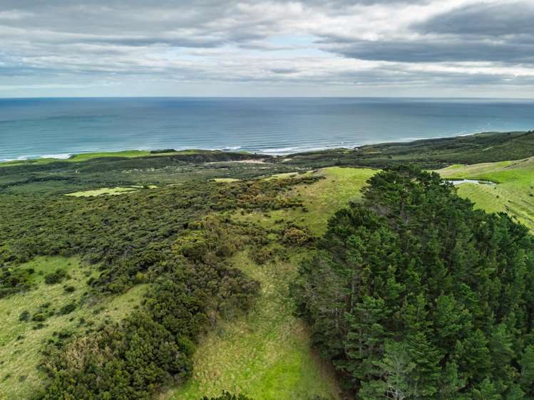 7849 State Highway 12 Omapere_31